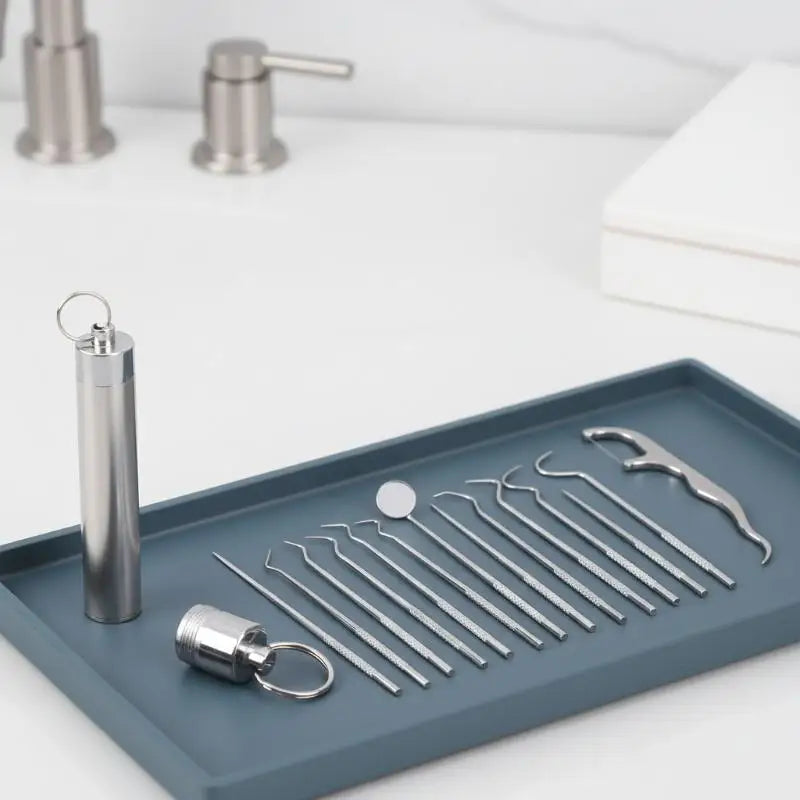 Reusable Stainless Steel Toothpick Kit – 10 Picks & Case Oral Care Kit Axl