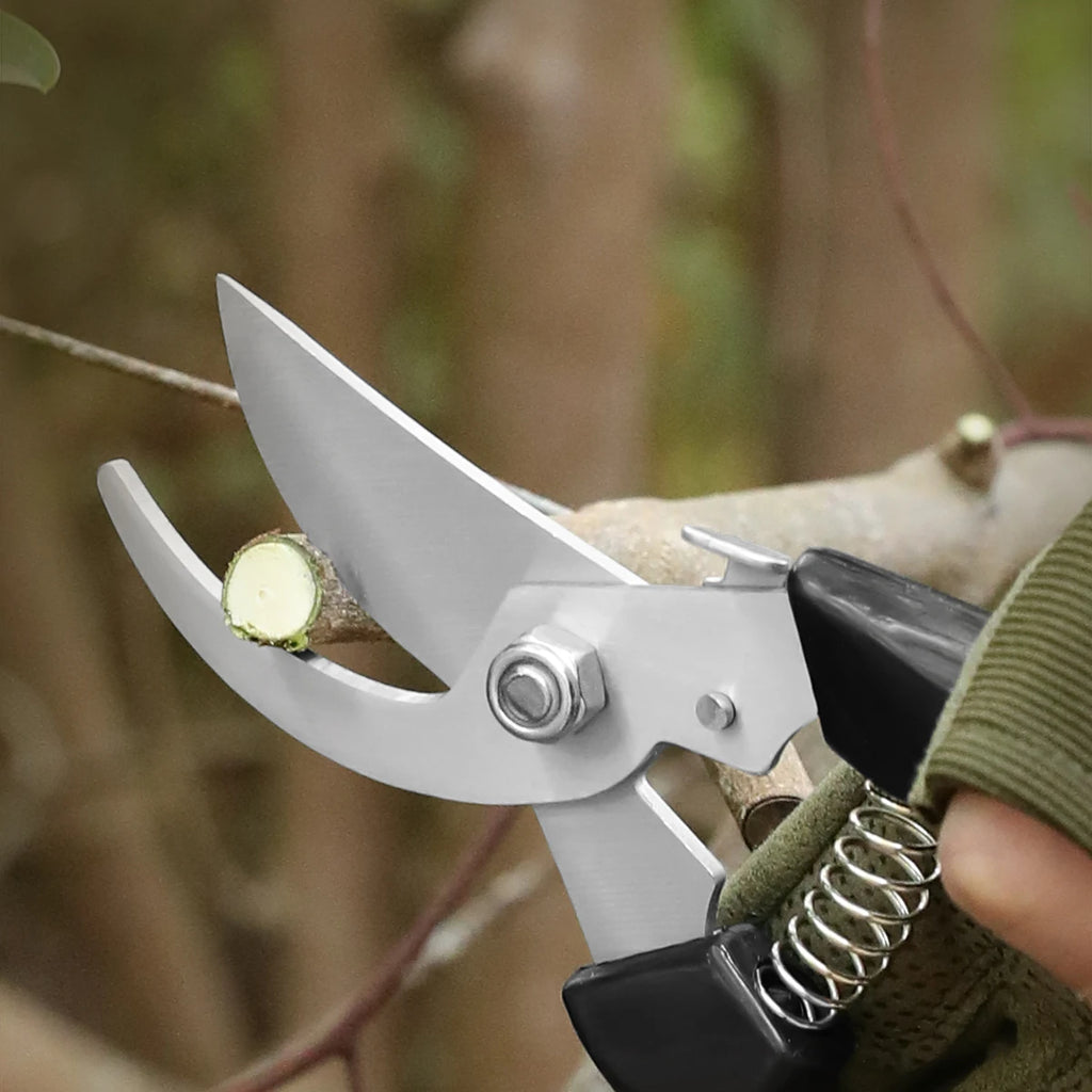 Stainless Steel Grafting & Pruning Shears | Fruit Tree Garden Tool Pruning Shears Axl