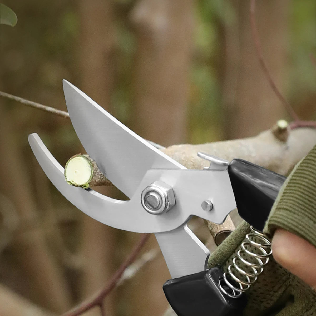Stainless Steel Grafting & Pruning Shears | Fruit Tree Garden Tool Pruning Shears Axl