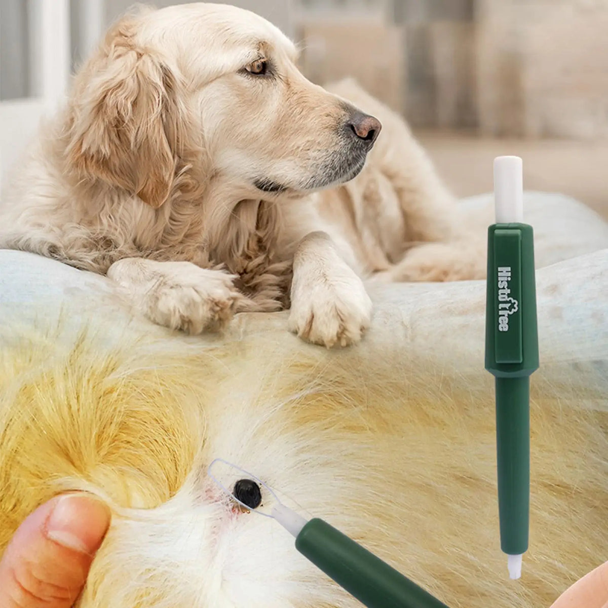 Pet Tick Remover Pen – Tick Extractor for Dogs, Cats & Humans Tick Remover Tool Axl