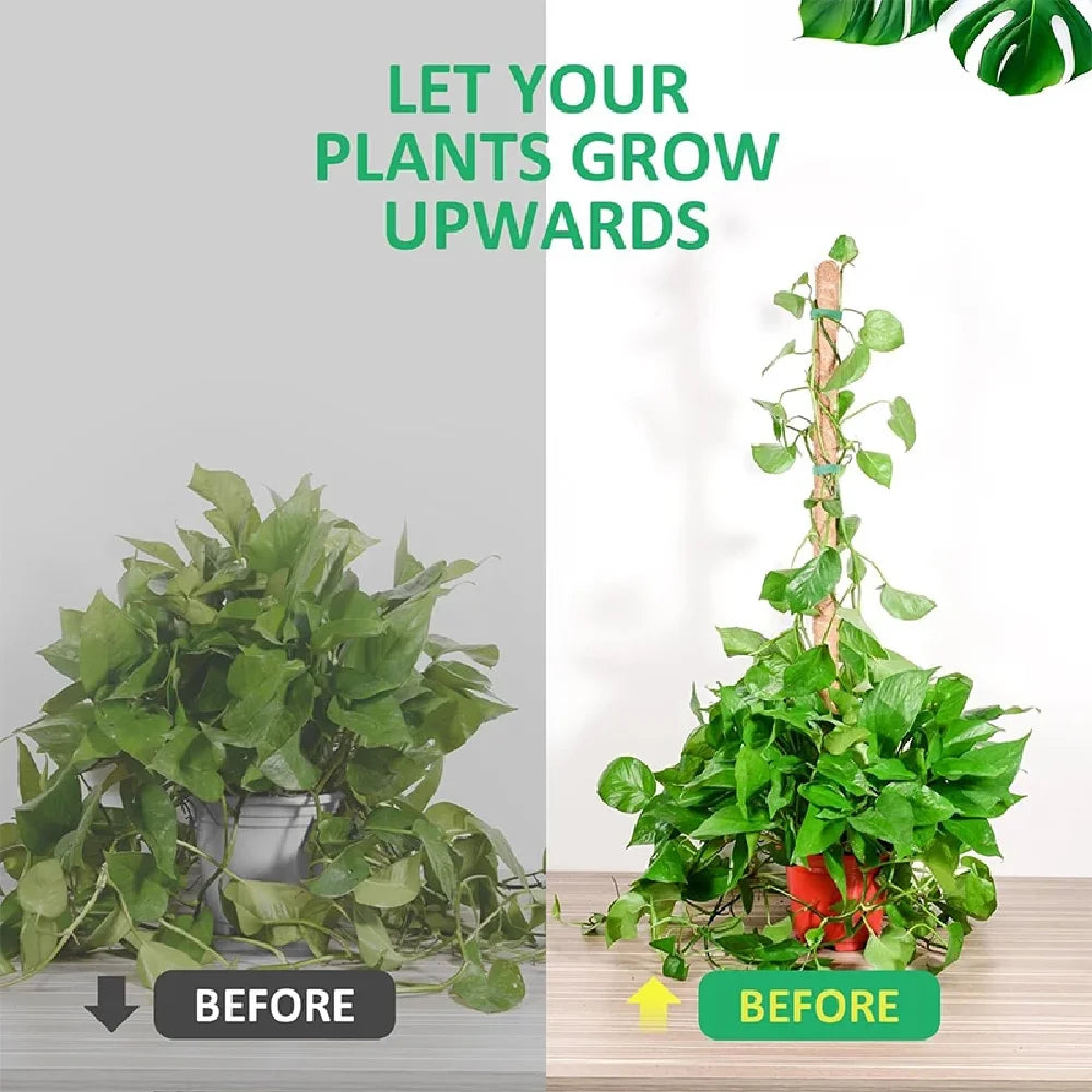 Deformable Plant Scaffold – Flexible Indoor & Outdoor Support Plant Support Stake Axl
