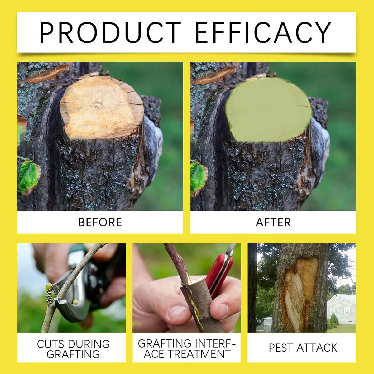 Tree Pruning Sealer 100g – Grafting Coating Cream with Brush Tree Pruning Sealer Axl