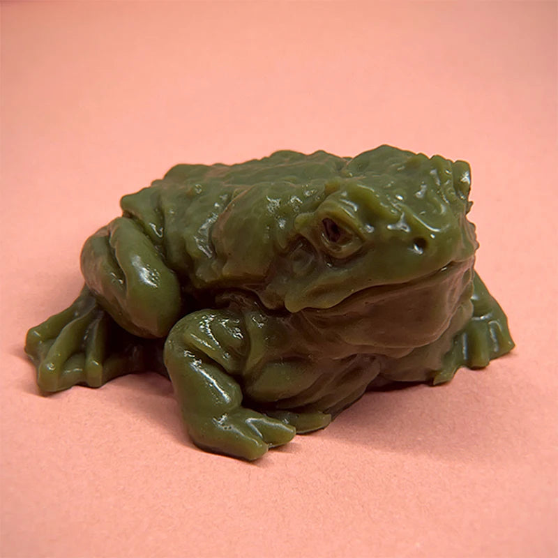 Funny Frog Squeeze Toy – Meme Prank Gift for Kids & Teens Novelty Squeeze Toy Axl Green