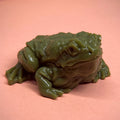 Funny Frog Squeeze Toy – Meme Prank Gift for Kids & Teens Novelty Squeeze Toy Axl Green