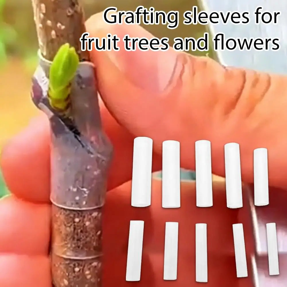 50-Pack Grafting Sleeves – Tomato, Eggplant & Fruit Trees Grafting Sleeves Axl