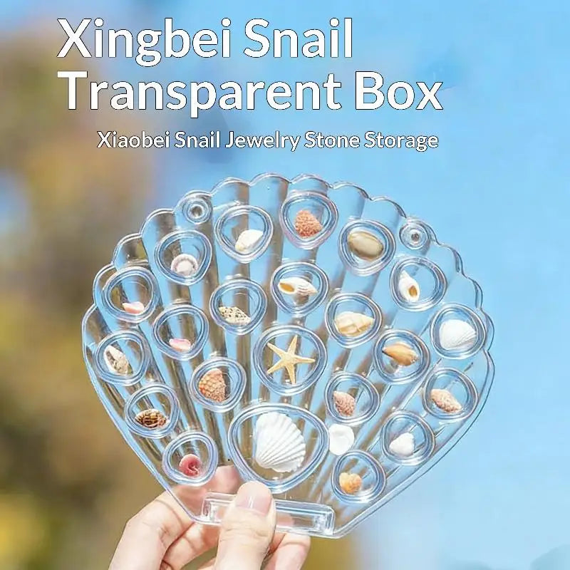 Clear Acrylic Seashell Display Box – Magnetic Shell Organizer Display Storage Box Axl