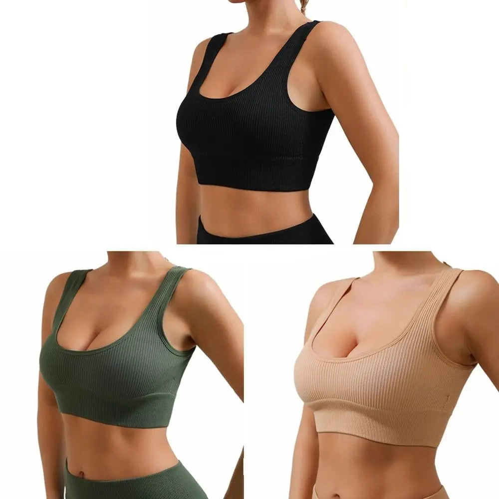 Seamless Sports Bra – Breathable Moisture-Wicking Yoga Bra Sports Bra Axl
