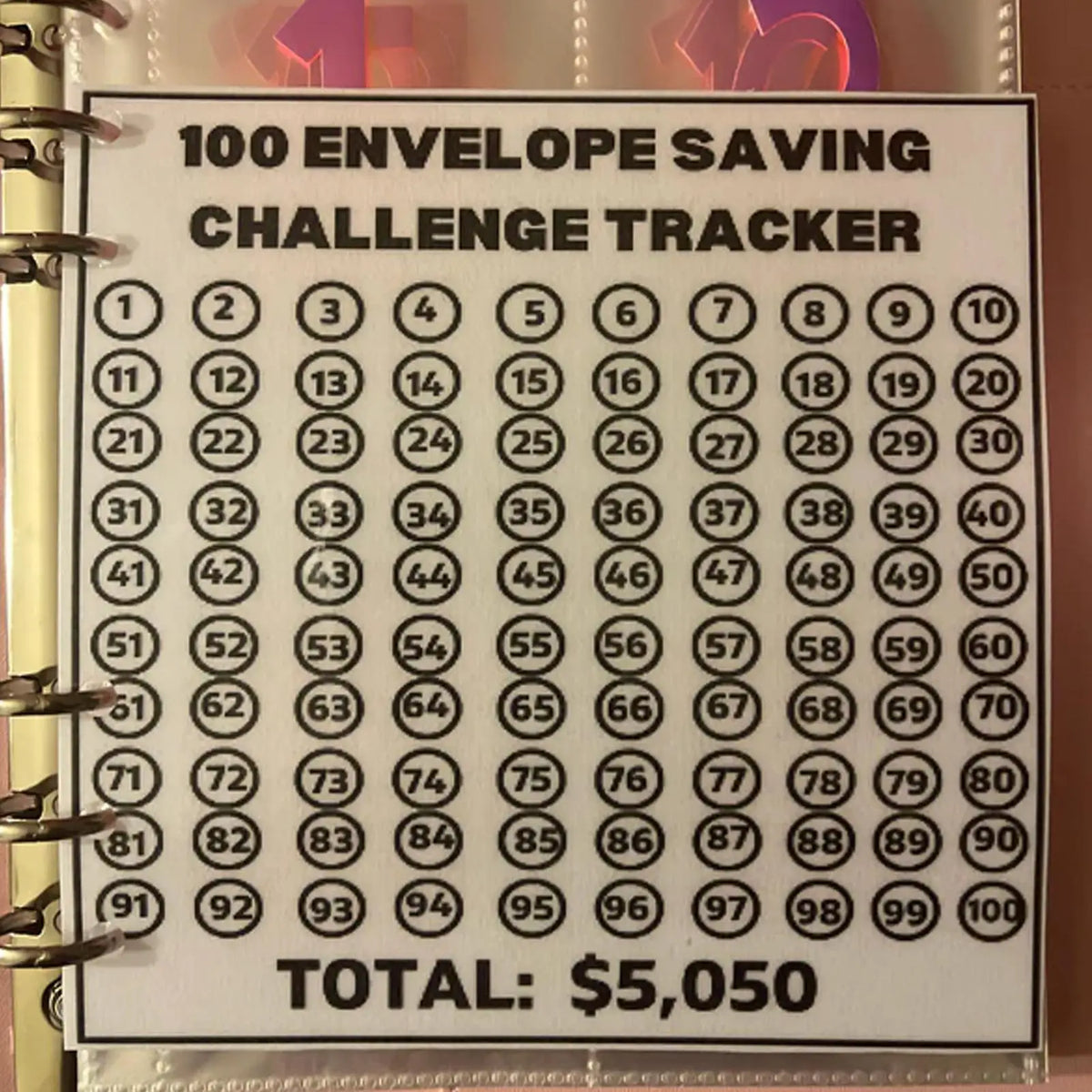 100 Envelope Challenge Binder – Budget Binder with Cash Envelopes Budget Savings Binder Axl