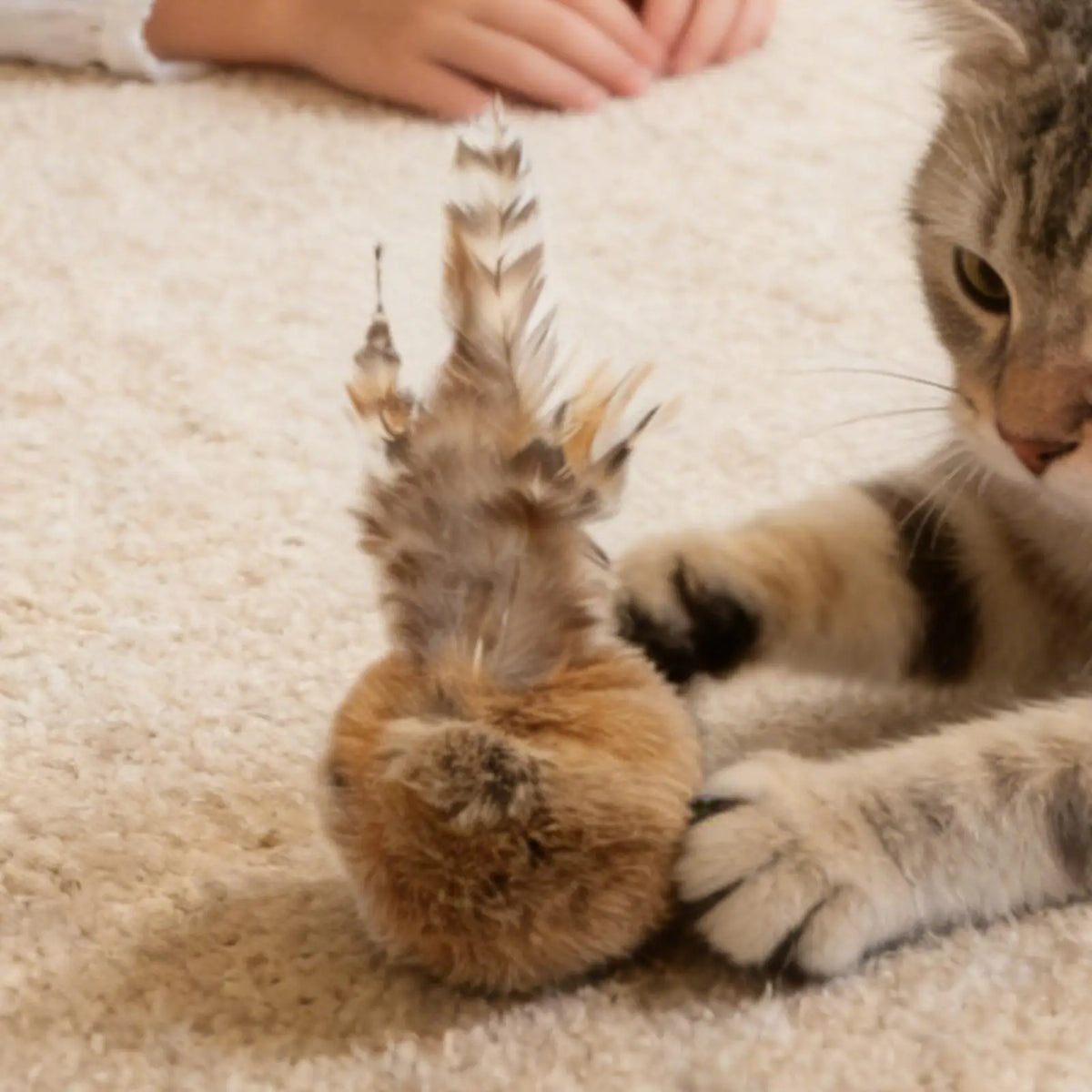 Soft Rabbit Hair Cat Ball Toy – Interactive Indoor Cat Toy Interactive Cat Toy Axl