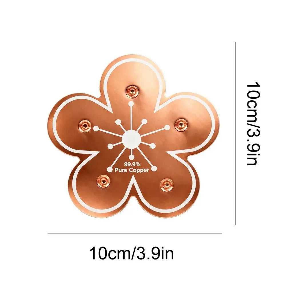 Copper Bird Bath Purifier Disk – Natural Ion Water Cleaner Bird Bath Accessory Axl D