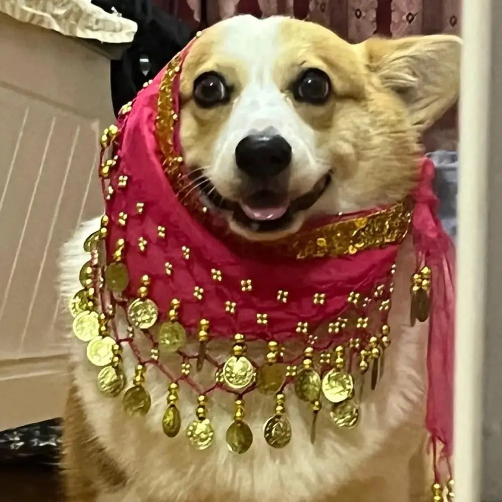 Dog Belly Dance Hip Scarf – Sequin Costume for Corgis & Pets Pet Costume Accessory Axl