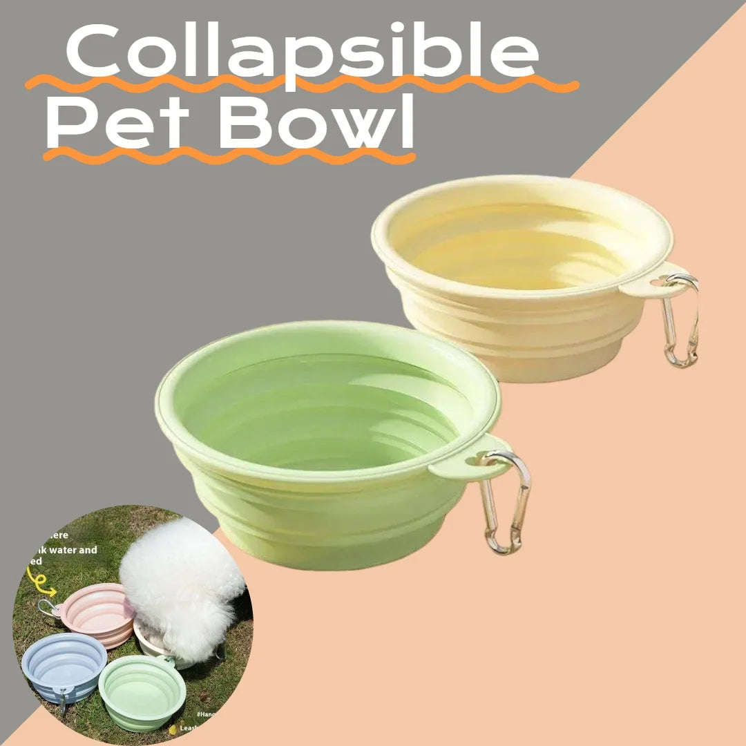 Collapsible Silicone Pet Bowl – Portable Dog & Cat Travel Bowl Collapsible Pet Bowl Axl