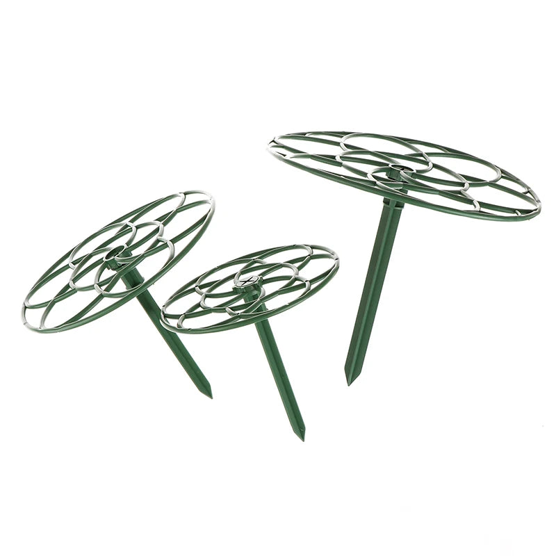 Stackable Plant Climbing Frame – Bonsai & Vine Support Cage Plant Support Frame Axl