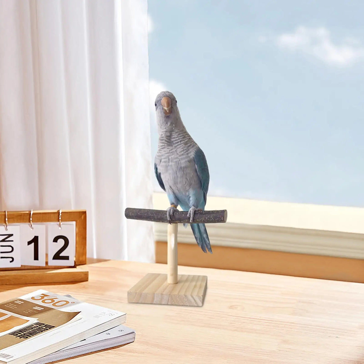 Natural Wood Parrot T Perch Stand – Bird Desktop Toy Bird Perch Stand Axl