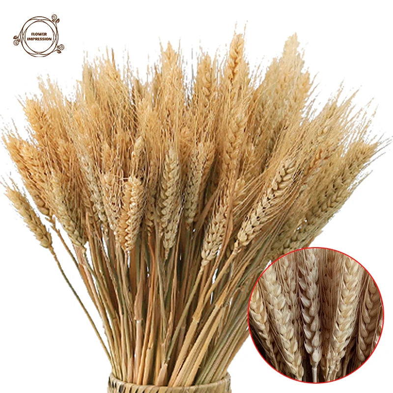 100 Pcs Wheat Ears Dried Flower Bouquet – Wedding & Home Decor Dried Flower Bouquet Axl