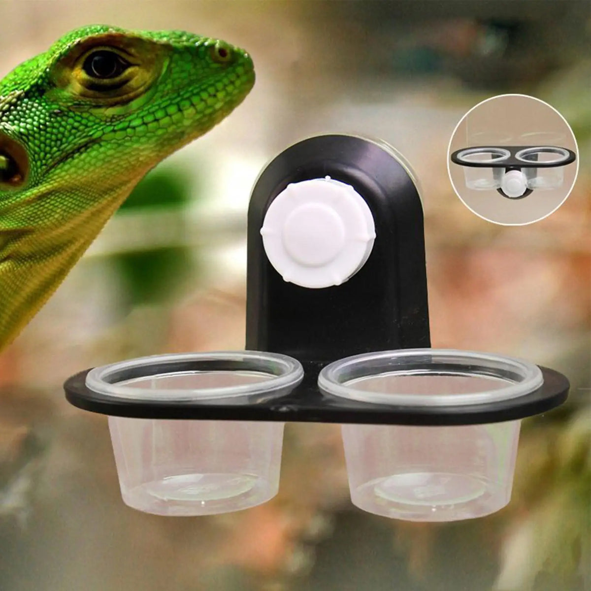 Reptile Food & Water Dish – 4-Cup Ledge Feeder Tray Reptile Feeder Dish Axl