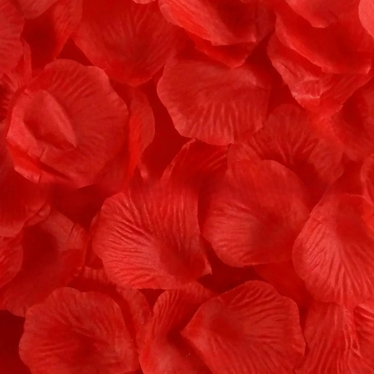 Silk Rose Petals 100pc – Wedding & Valentine's Day Scatter Decor Silk Scatter Petals Axl Red