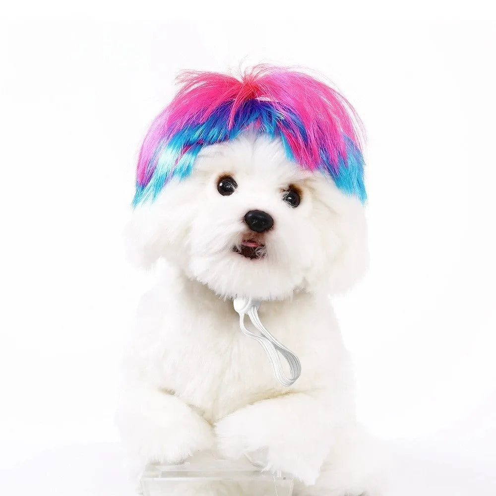 Funny Pet Bob Wig for Cats & Dogs – Halloween Cosplay Pet Costume Wig Axl