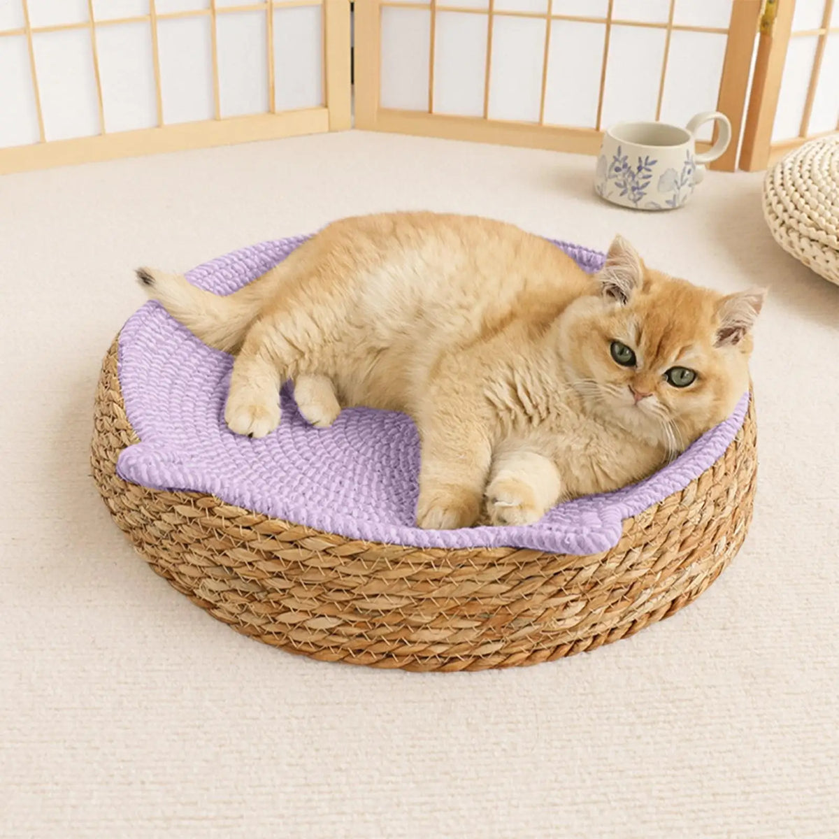 Circle Cat Scratcher Woven Nest Bed | Cotton Rope Kitten Ear Cat Scratcher Bed Axl