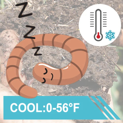 Soil & Compost Dial Thermometer for Garden & Worm Farms Garden Thermometer Axl