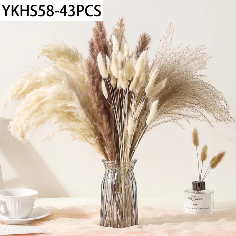 Natural Dried Pampas Grass & Bunny Tails Boho Bouquet Dried Flower Bouquet Axl 43PCS