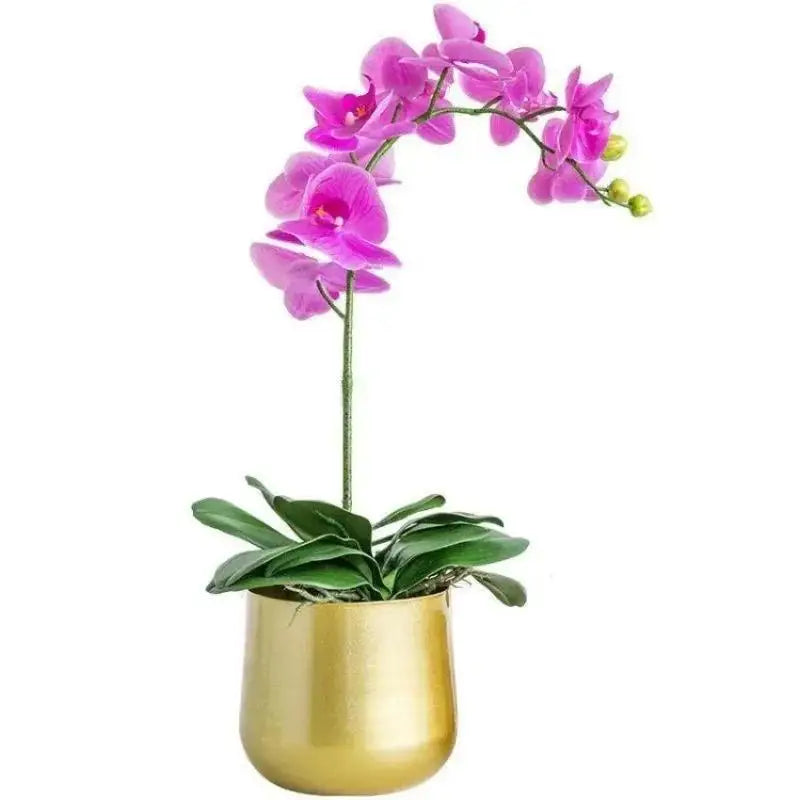 Modern Cast Brass Metal Flower Pot | Luxury Indoor Garden Planter Metal Garden Planter Axl