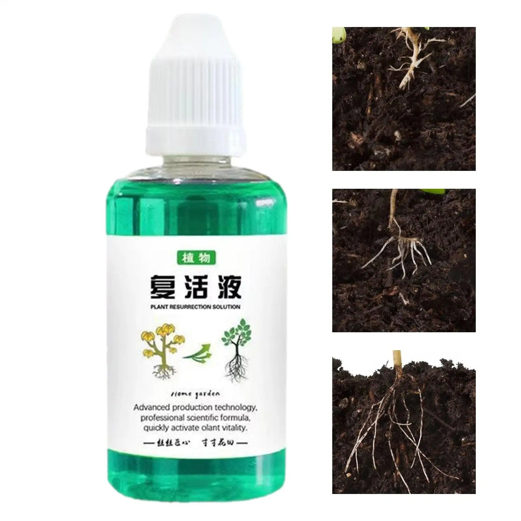 Plant Root Booster Liquid 50ml – Fast Growth Nutrient Solution Plant Root Fertilizer Axl 50ml