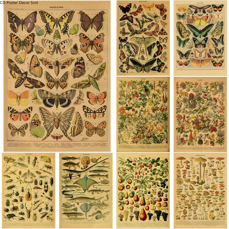 Vintage Botanical Kraft Paper Poster – Butterfly, Mushroom & Flowers Wall Art Poster Axl