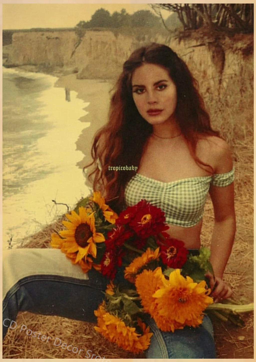 Lana Del Rey Retro Kraft Paper Poster | Vintage Aesthetic Wall Art Decorative Wall Poster Axl 11 A4 8.3x11.8inch