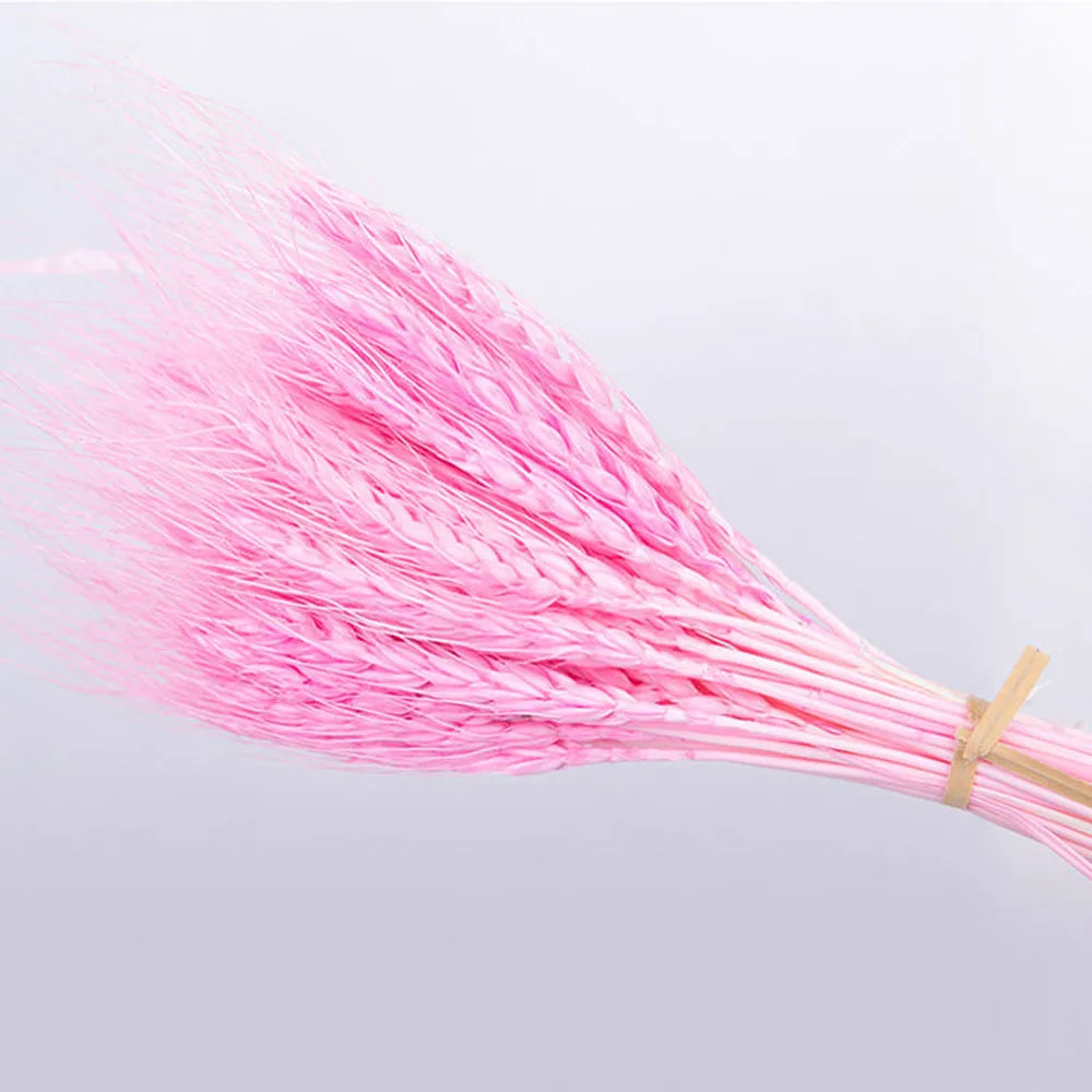 Natural Dried Wheat Spikes Bouquet – Boho Wedding & Home Decor Dried Flower Bouquet Axl Pink 150PCS