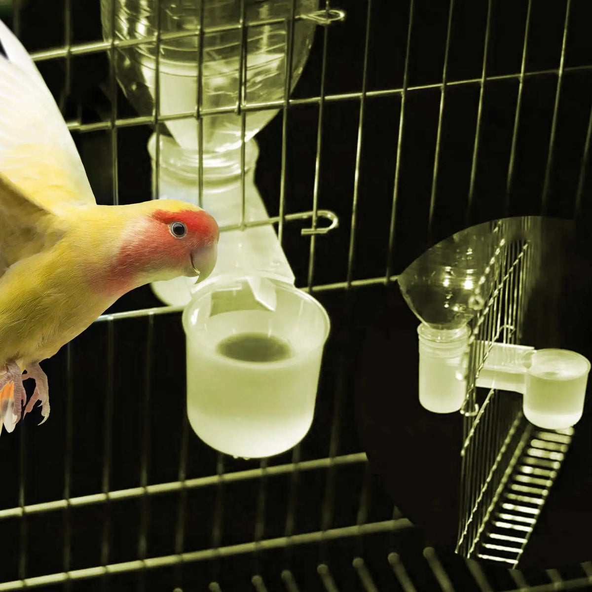 Double-Port Bird Water Dispenser – Splash-Proof Drinker Cup Bird Water Dispenser Axl Default Title