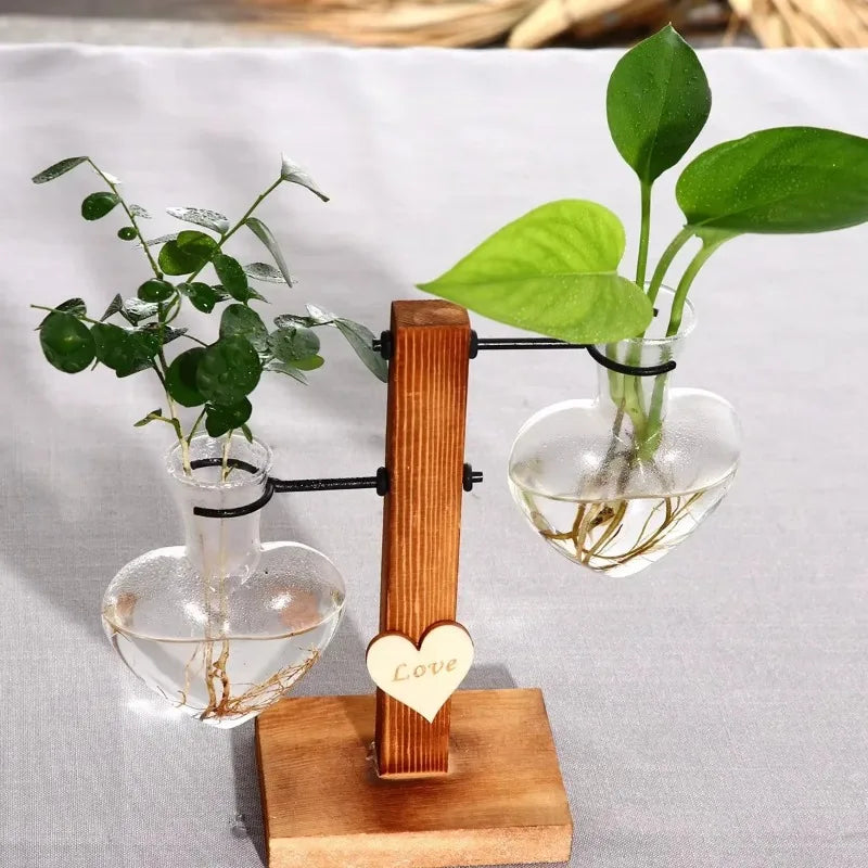 Vintage Glass Hydroponic Vase & Plant Propagation Station Hydroponic Vase Axl