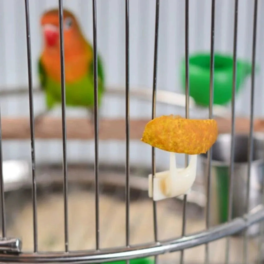 5-Pack Bird Cage Fruit Forks – Parrot Snack Holder Set Bird Cage Feeder Axl