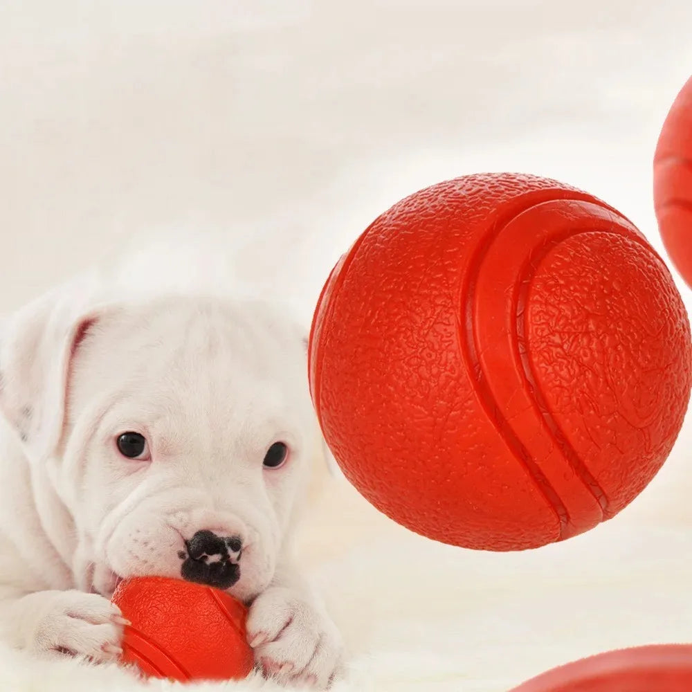 Pet Rubber Chew Ball – Dog Training Bouncy Molar Toy Dog Chew Toy Axl