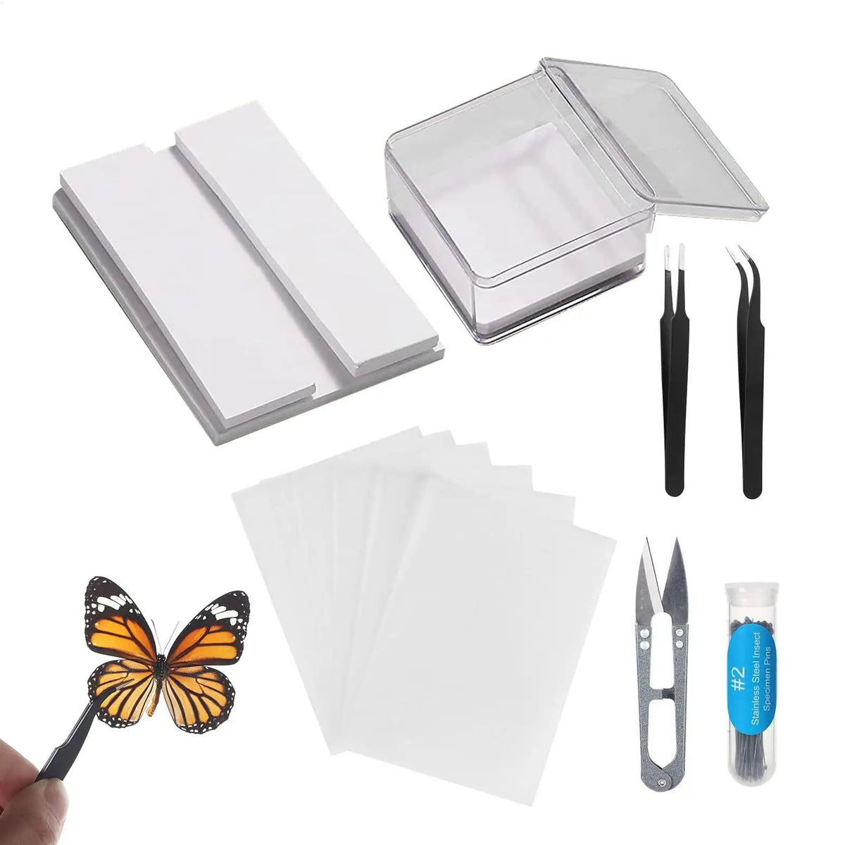 DIY Butterfly Specimen Kit – Insect Pin Wing Board Display Set Specimen Display Kit Axl