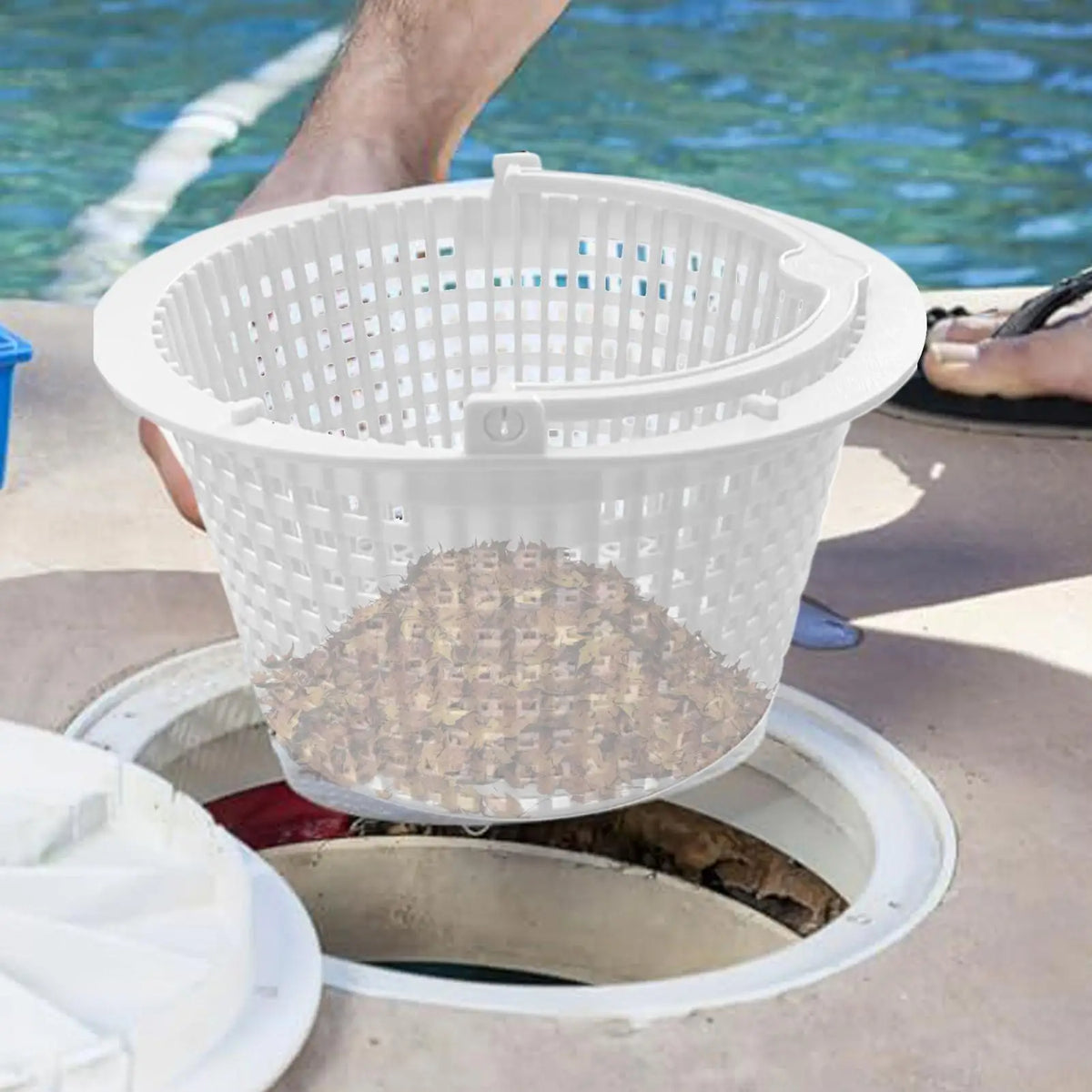 Pool Skimmer Basket – ABS Replacement Filter for Above Ground Pools Pool Skimmer Basket Axl