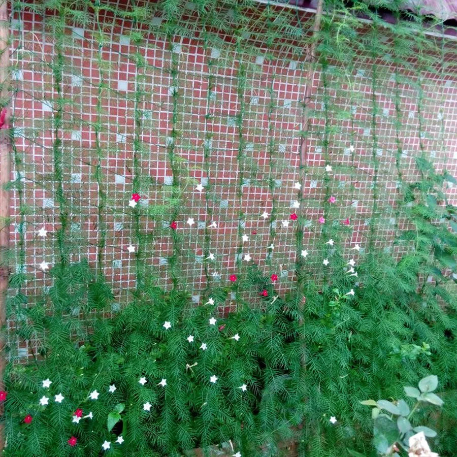 Garden Trellis Netting – Heavy-Duty Nylon Plant Climbing Net Garden Trellis Net Axl 180x180cm