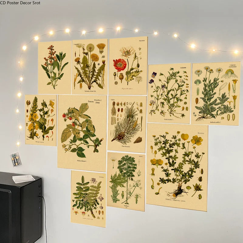 Botanical Herb & Flower Retro Kraft Paper Poster | Vintage Wall Art Decorative Wall Poster Axl