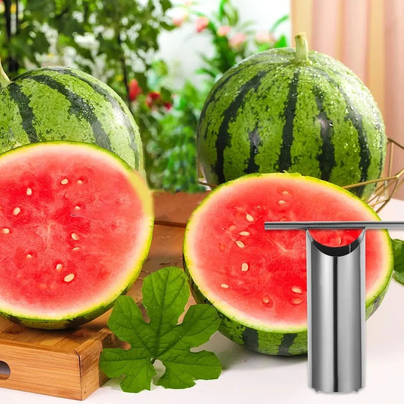 Stainless Steel Watermelon Corer & Cutter Tool Fruit Corer Tool Axl