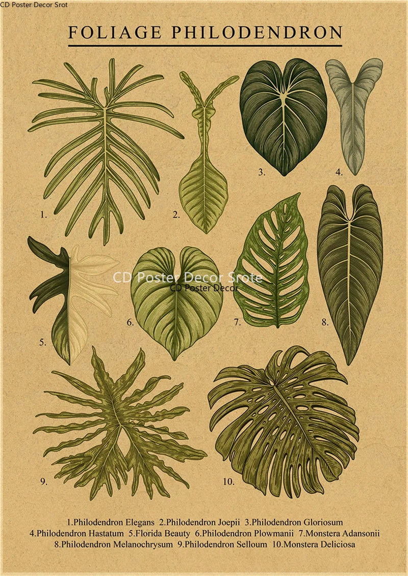 Vintage Botanical Poster – Kraft Paper Plant & Flower Wall Art Wall Art Poster Axl