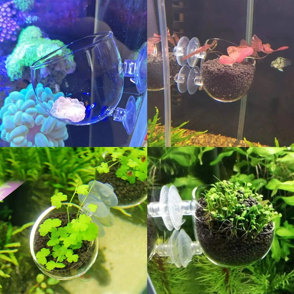 Aquarium Glass Plant Pot with Suction Cups | Fish Tank Planter Aquarium Plant Pot Axl