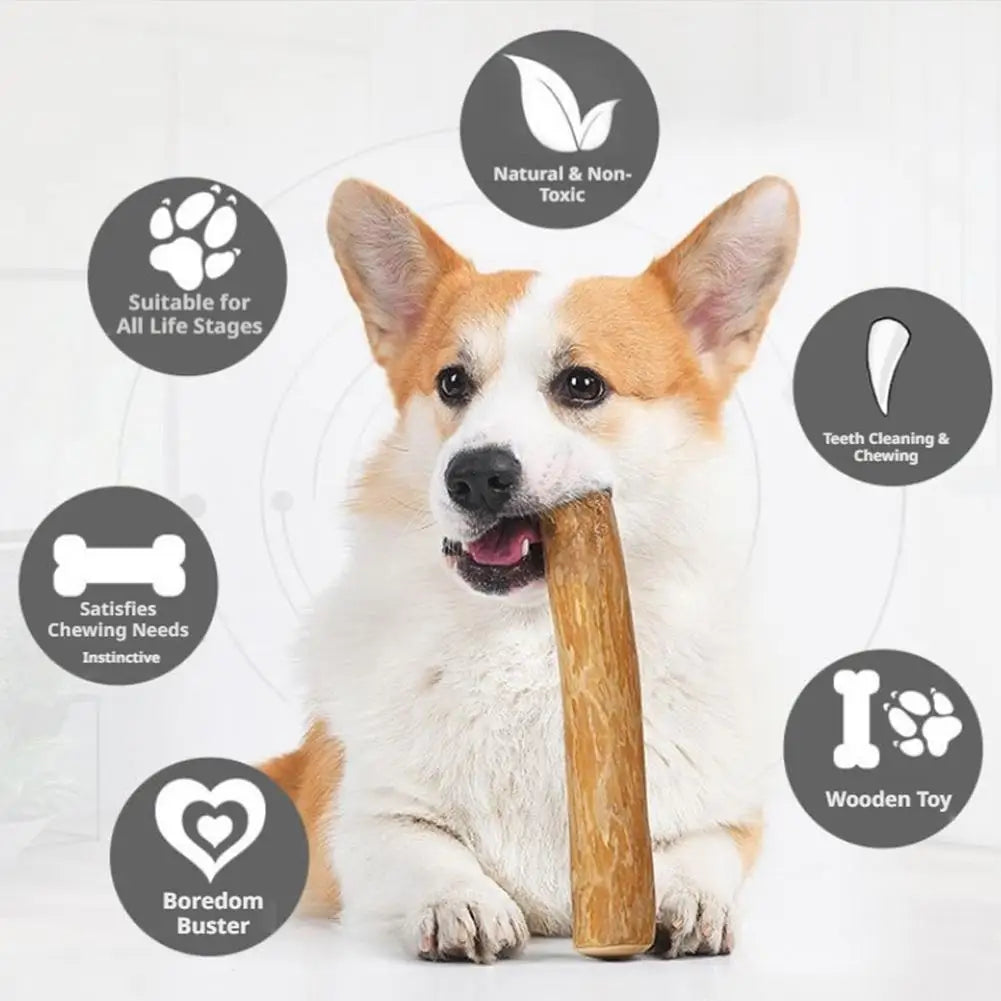 Natural Coffee Wood Dog Chew Sticks – Dental & Safe Dog Chew Toy Axl