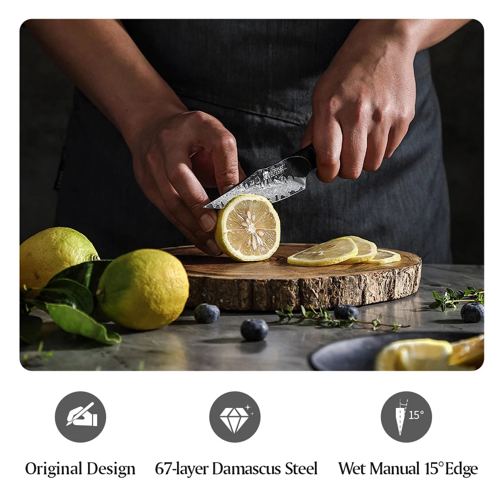 XINZUO Mo Series 4.2" Damascus Paring Knife | Gift Box Damascus Paring Knife Axl