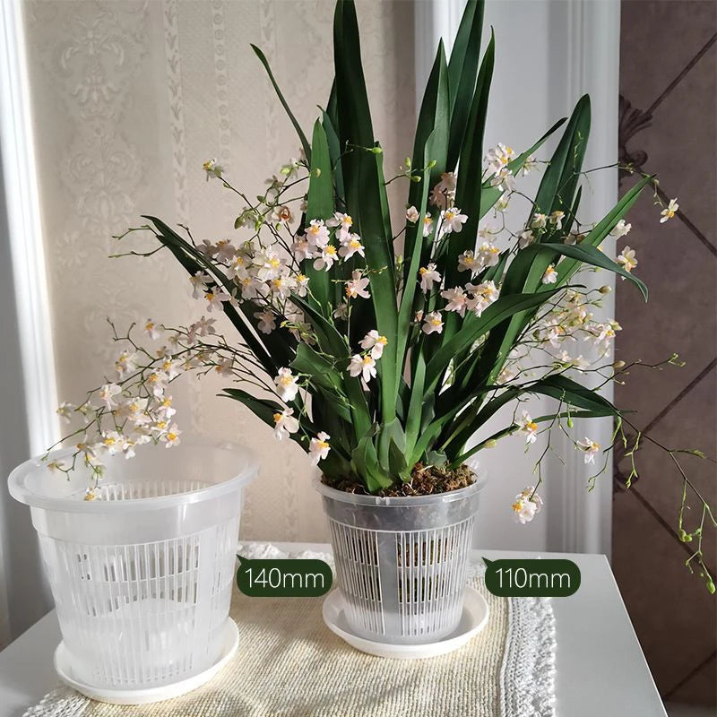 Transparent Mesh Orchid Pot 11/14cm | Breathable Plastic Flower Pot Mesh Orchid Pot Axl