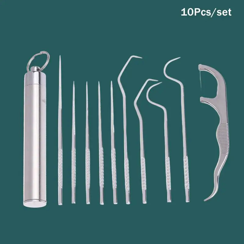 Reusable Stainless Steel Toothpick Kit – 10 Picks & Case Oral Care Kit Axl