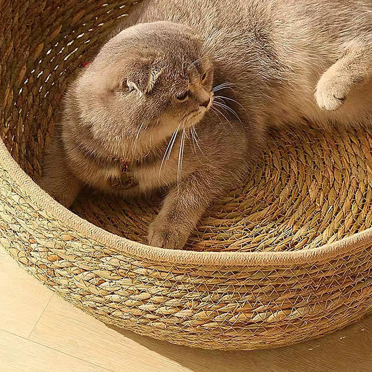 Cotton Rope Woven Cat Bed Cave – Round Kitten Nest with Pillow Cat Nest Bed Axl