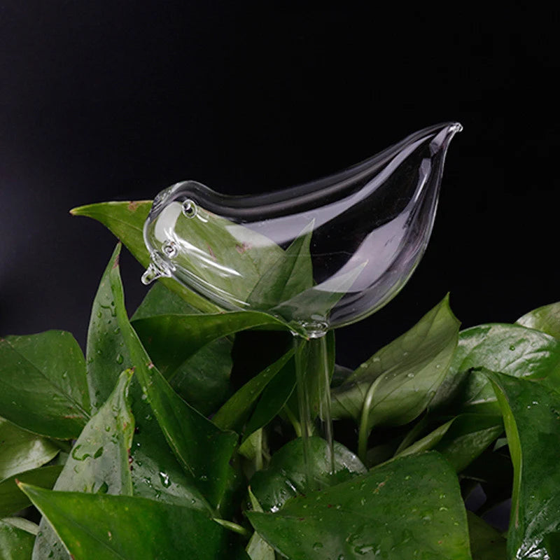 Glass Self-Watering Plant Feeder | Automatic Drip Irrigation Plant Watering Device Axl 1pcs 6