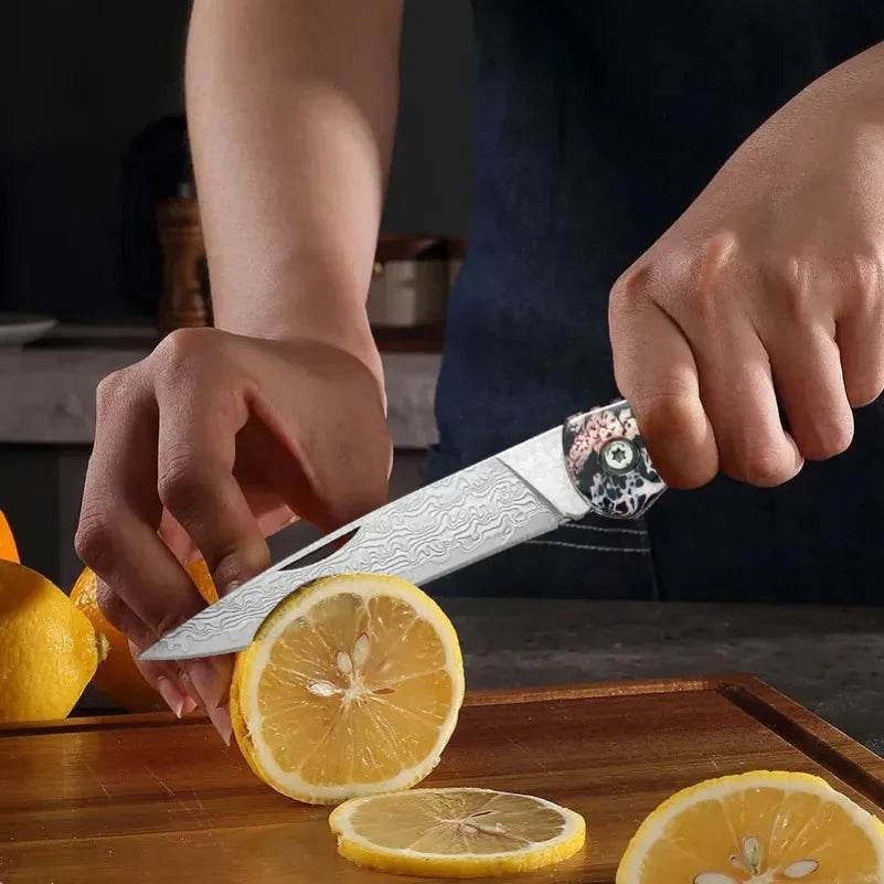 Damascus Steel Folding Pocket Knife – Sharp Blade, Resin Handle Folding Pocket Knife Axl