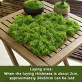 Artificial Moss Turf – Fake Plant for Bonsai & Micro Landscape Artificial Moss Decor Axl green-A