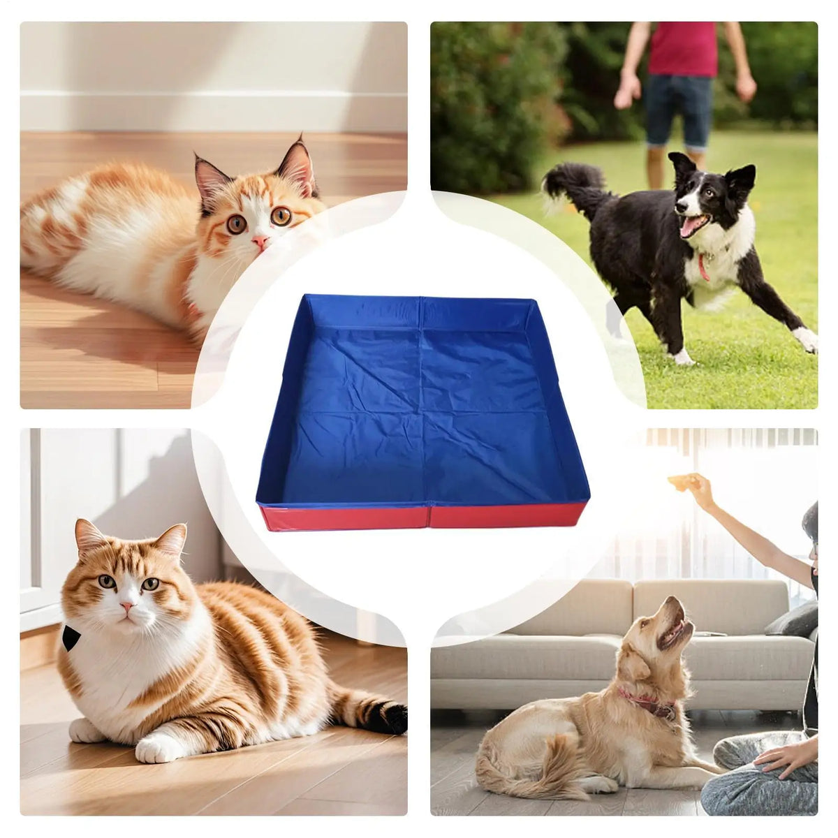 Foldable PVC Pet Pool – Dog & Cat Wading Bathing Tub 50x50cm Pet Wading Pool Axl